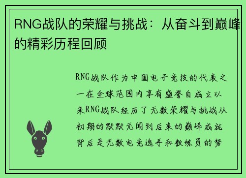 RNG战队的荣耀与挑战：从奋斗到巅峰的精彩历程回顾